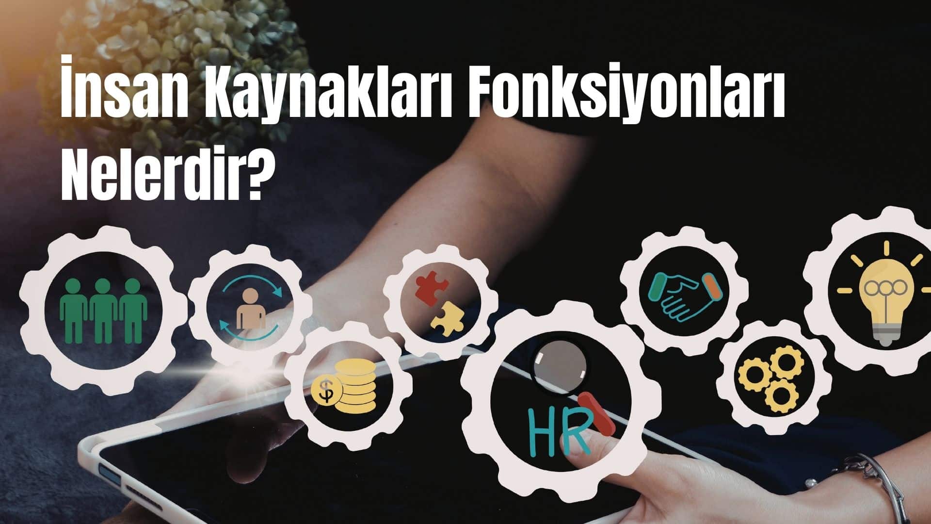 İnsan Kaynakları Fonksiyonları